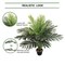 3-Pack 36" Lifelike Fan Palm Plants – Realistic Artificial Greenery for Home, Office & Indoor Décor – Durable Faux Palm Trees